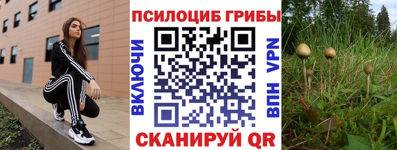 Галлюциногенные грибы мухоморы  OMG ссылки  Богданович 