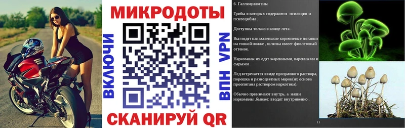 Псилоцибиновые грибы GOLDEN TEACHER Богданович